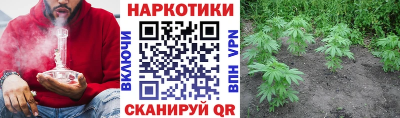 Cocaine Апрелевка