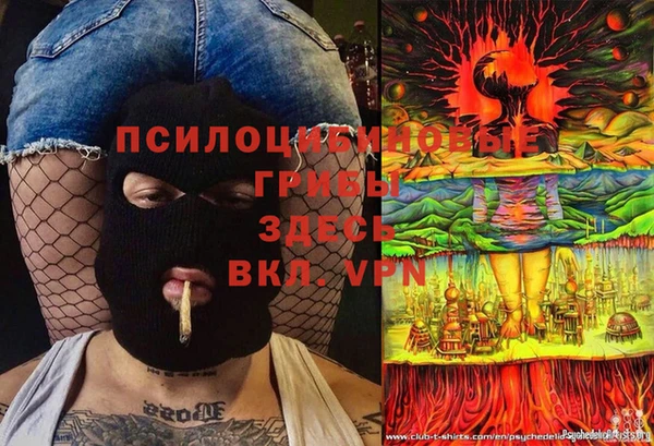 прущие грибы Арсеньев