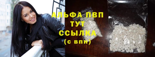 прущие грибы Арсеньев