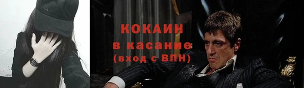 ПСИЛОЦИБИНОВЫЕ ГРИБЫ Аркадак
