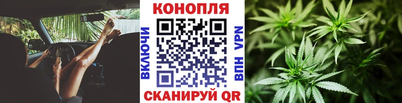 Шишки марихуана VHQ  Купить закладки  Апрелевка 